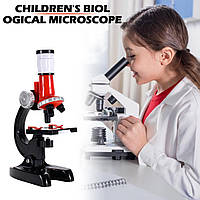 Детский Микроскоп (подсветка, предметные стекла, колбы, пластиковый контейнер, в коробке) LZ 8601