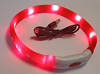 LED-ошейник AnimAll для собак (с подзарядкой USB) 0167 LED-S 1.5х40 см красный