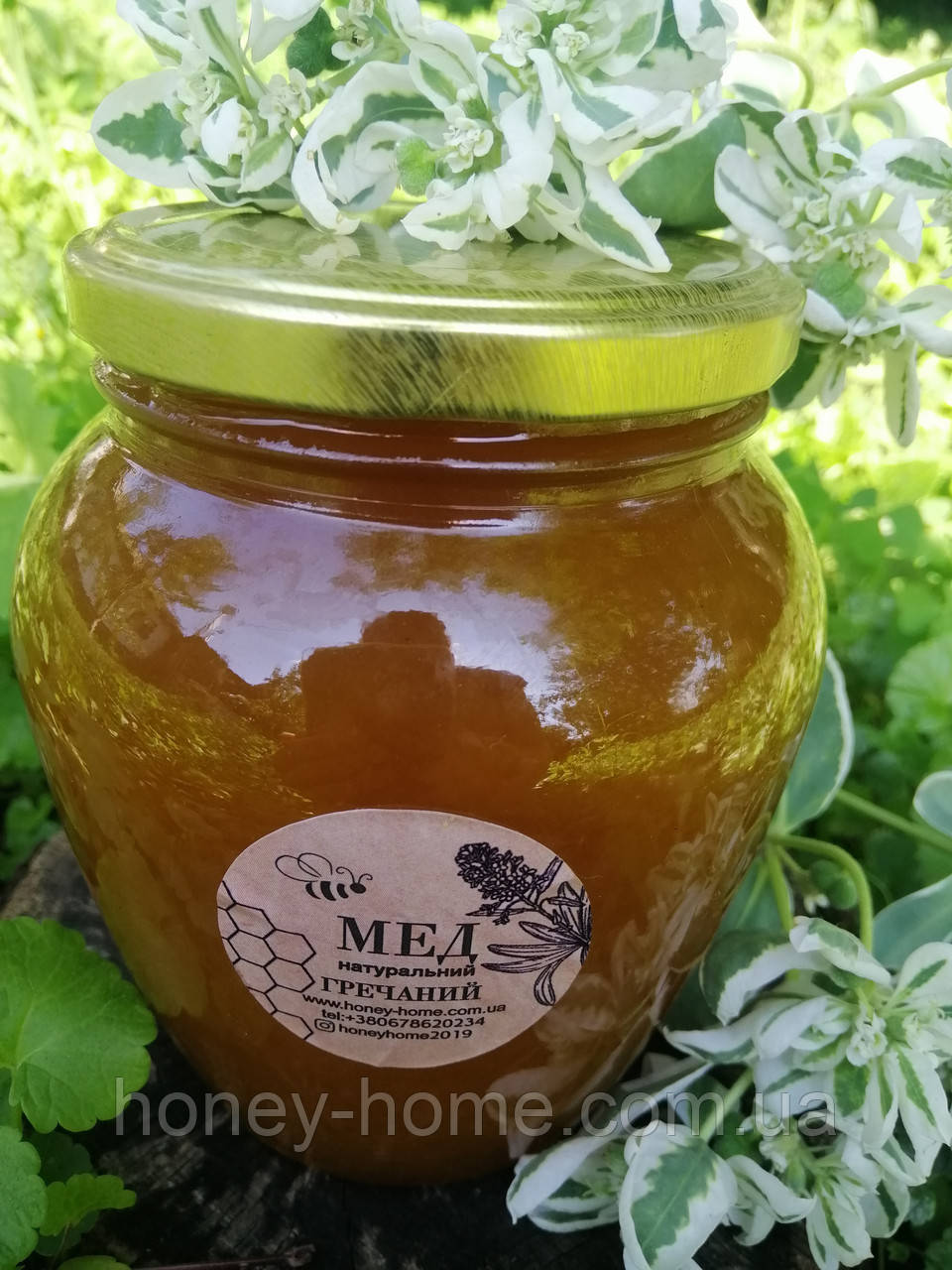 Натуральный гречишный мед 550мл (800г) - фото 2 - id-p1663262737