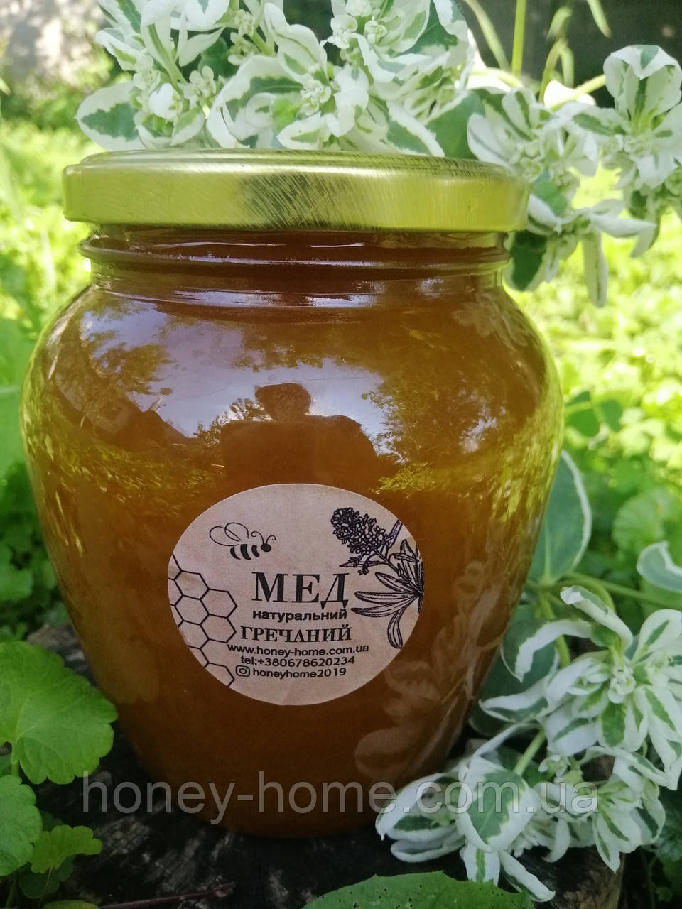 Натуральный гречишный мед 550мл (800г) - фото 1 - id-p1663262737