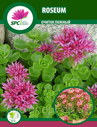Очиток  Roseum