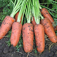Семена моркови Абако F1 (2,2-2,4 ) 200 000 сем. Semenis
