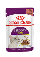 Вологий корм для дорослих кішок, вибагливих до аромату Royal Canin Sensory Smell Gravy (шматочки в соусі) 85 г