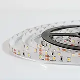 Світлодіодна стрічка 12V, 2835, 60 led/m, 4.8W, IP20, 3000K - білий теплий, ST-12-2835-60-WW-20-V2, фото 4
