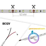 Світлодіодна стрічка 12V, 2835, 60 led/m, 4.8W, IP20, Синя, ST-12-2835-60-B-20, фото 4