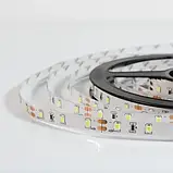 Світлодіодна стрічка 12V, 2835, 60 led/m, 4.8W, IP20, Синя, ST-12-2835-60-B-20, фото 5