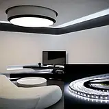 Світлодіодна стрічка 12V, 2835, 120 led/m, 9W, IP20, 6500K - білий холодний, ST-12-2835-120-CW-20-V2, фото 2