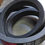 Ремінь варіаторний HM-2052cz Rubena, 50х22мм, фото 2