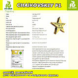 Огірок Чайковський F1, партенокарпічний, ТМ Rijk Zwaan (Нідерланди), фото 4