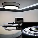 Світлодіодна стрічка 12V, 2835, 120 led/m, 14W, IP20, 6500K - білий холодний, ST-12-2835-120-CW-20-V3, фото 2