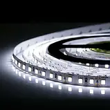 Світлодіодна стрічка 12V, 2835, 120 led/m, 14W, IP20, 6500K - білий холодний, ST-12-2835-120-CW-20-V3, фото 3