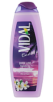 Гель для душа Exotic Love Vidal 500мл