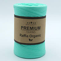 Пряжа Premium Yarns Raffia Organic 001