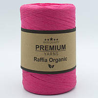 Premium Yarns Raffia Organic 013