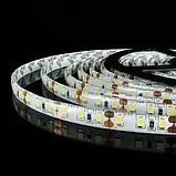 Світлодіодна стрічка 12V, 2835, 120 led/m, 9W, IP65, синій, ST-12-2835-120-B-65, фото 2