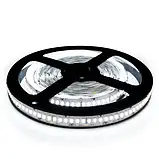 Світлодіодна стрічка 12V, 2835, 240 led/m, 20W, IP20, 6500K - білий холодний, ST-12-2835-240-CW-20, фото 2