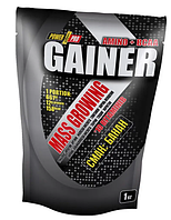 Высокоуглеводный гейнер для набора массы Power Pro Mass Growing Gainer 1 кг