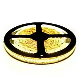 Світлодіодна стрічка 12V, 2835, 240 led/m, 20W, IP20, 3000K - білий теплий, ST-12-2835-240-WW-20, фото 3