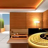 Світлодіодна стрічка 12V, 2835, 240 led/m, 20W, IP20, 3000K - білий теплий, ST-12-2835-240-WW-20, фото 4