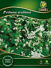 Насіння Редька олійна, 1кг WoS