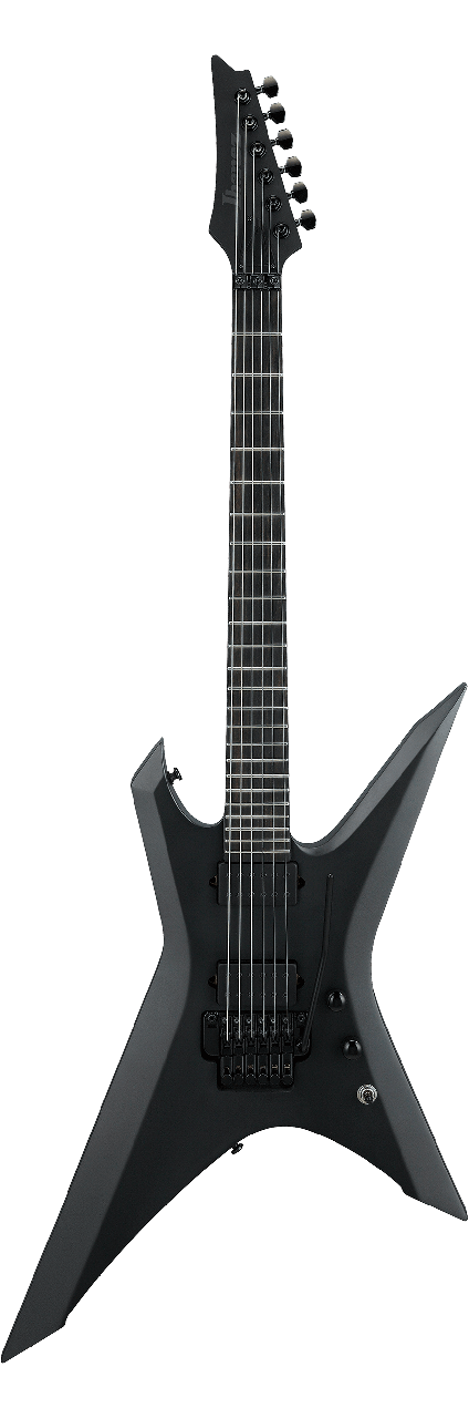 Електрогітара IBANEZ XPTB620-BKF, фото 1