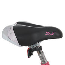 Велосипед двоколісний для дівчинки PROF1 Star 20 дюймів Y2091-1 з кошиком Рожевий, фото 3