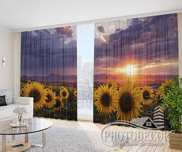 Фото Штори "Соняшники на заході сонця 4" 2,5м*2,9м (2 полотна по 1,45м)