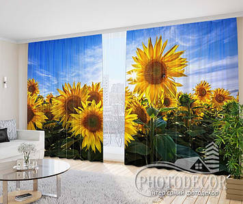 Фото Штори "Соняшники на сонці" 2,5м*2,9м (2 полотна по 1,45м)