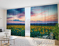 Фото Штори "Поле з соняшниками на заході сонця 1" 2,5м*2,9м (2 полотна по 1,45м)