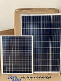Полікристалічна сонячна панель Victron Energy 115W 115 Вт, фото 2