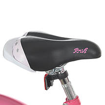 Велосипед дитячий PROF1 Star 20" Y2091 з ліхтариком Рожевий, фото 4