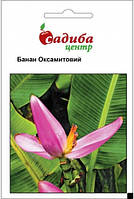 Насіння банана «Оксамитовий», 1 м "Хем Заден", Нідерланди.