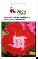 Насіння квітів Годеция азалиевидная Метеор, однорічна, 0,2 г, "Бадваси ", Україна