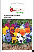 Насіння фіалки Триколор максимум, 0,05 г, "Садиба-Центр", Україна