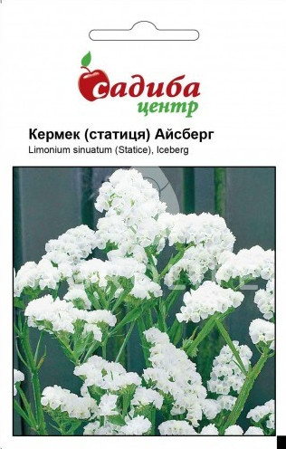 Насіння квітів кермек (статиця) Айсберг, 0,1 г, "Садиба-центр", Україна