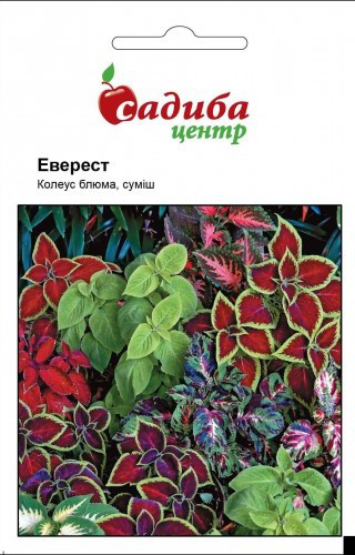 Насіння квітів колеуса Еверест суміш, 0,02 г, "Садиба-Центр", Україна
