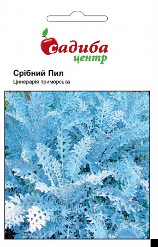 Насіння квітів Цинерарія срібний пил, 0,2 г, "Садиба-центр", Україна