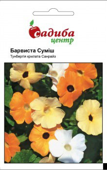 Насіння квітів тунбергия Барвиста Суміш, 0,1 г, "Садиба-центр", Україна