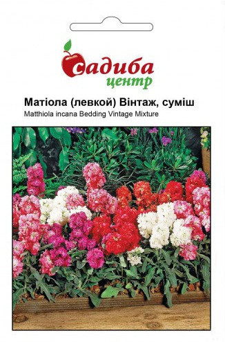 Насіння квітів левкой (матіола) Вінтаж суміш, 0,05 г, "Садиба-центр", Україна