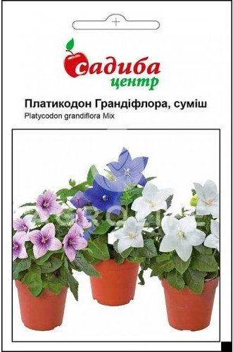 Насіння квітів платикодон Грандифлора суміш, 0,5 м, "Садиба-Центр", Україна