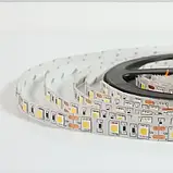 Світлодіодна стрічка 12V, 5050, 60 led/m, 14.4W, IP20, 3000K - білий теплий, Standart. Гарантія – 12 місяців, фото 4