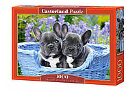 Пазлы 1000 ел. Castorland Puzzle "Щенки французского бульдога" 68х47см