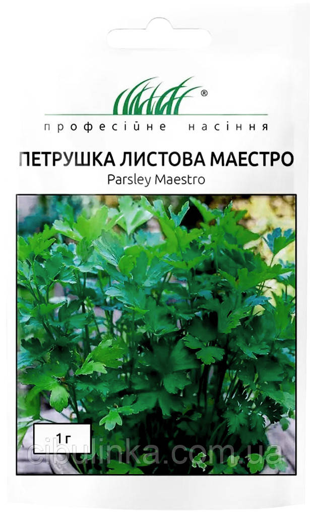 Насіння Петрушка листова Маестро 1 г Anseme Італія, фото 1
