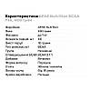 Амінокислота BCAA 6PAK Nutrition BCAA Pak, 400 грам Апельсин-ківі, фото 2