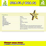 Насіння, Шпінат БОА F1 (25 000 насінин), Rijk Zwaan (Нідерланди), фото 4
