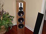 Акустична пара DALI Rubicon 8 Walnut, фото 7