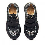 Дитячі шкіряні кросівки для дівчинки підлітка Туреччина Theo Leo 1332 розмір 30 — 40, фото 3