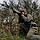 Куртка анорак Helikon-Tex® Woodsman Anorak Jacket® - Taiga Green, фото 9