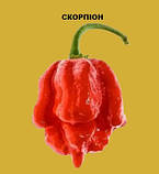 Гострий соус ELijah's REGRET Reserv Sauce, ПОДАРУНКОВЕ ПАКУВАННЯ!!!, фото 5