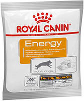 Лакомство Royal Canin Energy для взрослых собак с повышенной активностью 50 г